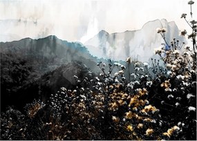 Obraz - Ilustrácie divokých kvetov (70x50 cm)