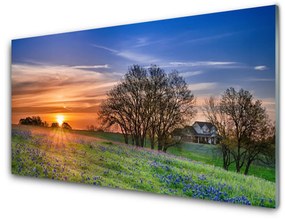 Obraz plexi Lúka slnko krajina 100x50 cm
