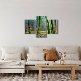 Obraz lesa (90x60 cm)