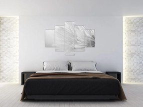 Obraz - Púpava (150x105 cm)