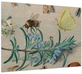 Sklenený obraz - Jan van Kessel the Elder, Insects and a Sprig of Rosemary, reprodukcia (70x50 cm)