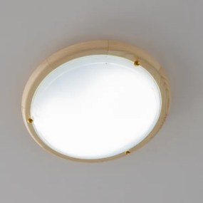 Rabalux 5421 - Stropné svietidlo UFO 2xE27/60W/230V