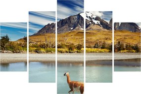 Obraz - Národný park Torres del Paine (150x105 cm)