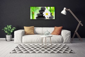 Obraz Canvas Bambus kamene zen kvet 125x50 cm