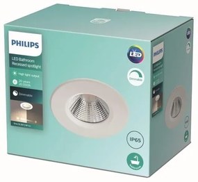 Philips - LED Stmievateľné kúpeľňové svietidlo DIVE LED/5,5W/230V 2700K IP65