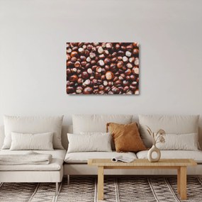 Sklenený obraz - Zrelé gaštany (70x50 cm)