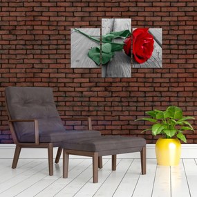 Obraz - Červená ruža so zelenou stonkou (90x60 cm)