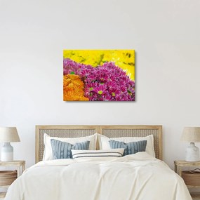 Obraz ružového kvetu (70x50 cm)