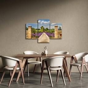 Obraz - Levanduľové cesty (90x60 cm)