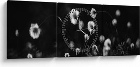 Obraz - Lúka s cottongrass N⁰1 (s hodinami) (90x30 cm)