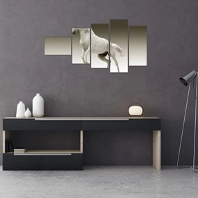 Obrazy bieleho koňa