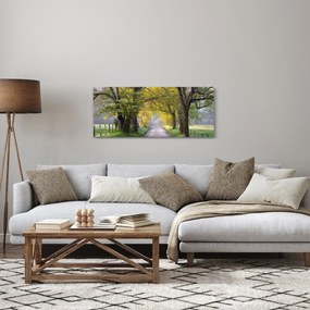 Obraz - Smoky Mountains, Gatlinburg, USA (120x50 cm)