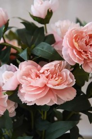 Umelá pivonka v krémovom kvetináči PEONY, výška 70 cm, ružová