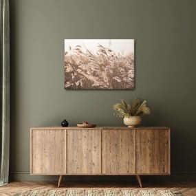 Obraz - Lúčny vánok (70x50 cm)