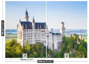 Fototapeta Vliesová Neuschwanstein 104x70 cm