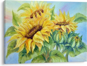 Obraz rozkvitnutých slnečníc (70x50 cm)