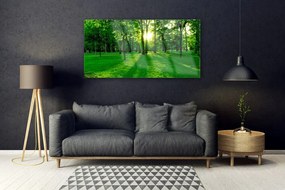 Obraz na akrylátovom skle Les príroda 120x60 cm