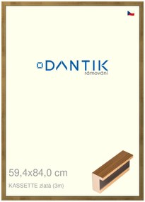 DANTIK rám na obraz 59,4x84 | KASSETTE zlatá (Plexi Čiré)