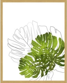 Rámovaný obraz Listy, 40x50 cm%