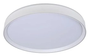 Lucide Lucide 79182/36/31 - LED Stmievateľné stropné svietidlo NURIA LED/36W/230V LC2810