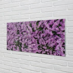 Sklenený obraz fialové kvety 100x50 cm