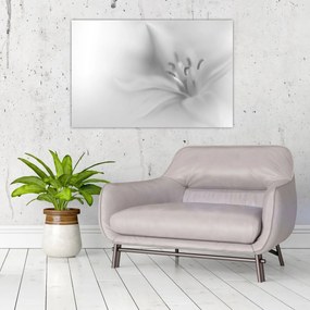 Obraz - Jemná ľalia (90x60 cm)