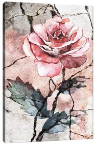 Nástenný obraz na plátne Tablo Center Rose, 40 × 60 cm