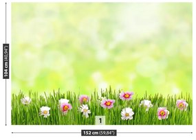 Fototapeta Vliesová Tráva kvety 104x70 cm