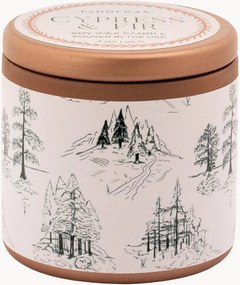 Vonná sviečka Winter Woods (Cypress & Fir)