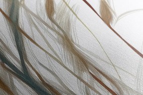 Obraz steblá trávy s nádychom minimalizmu Varianta: 60x120
