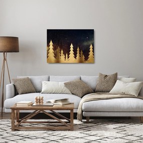 Sklenený obraz - Zlatá noc (70x50 cm)