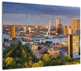Obraz - Panorama Rotterdamu, Holandsko (70x50 cm)