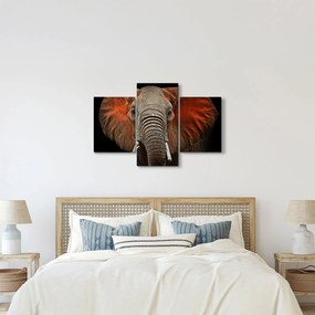 Obraz - Slony z Tsavo (90x60 cm)