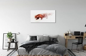 Obraz plexi Medveď 100x50 cm