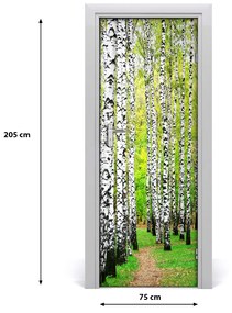 Fototapeta na dvere Břízová les 75x205 cm