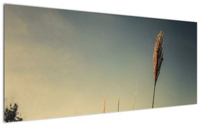 Obraz s trávou (120x50 cm)