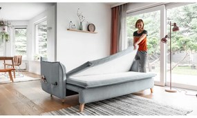 Svetlosivá rozkladacia pohovka 225 cm Charming Charlie – Miuform