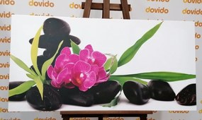 Obraz fialová orchidea v Zen zátiší - 100x50