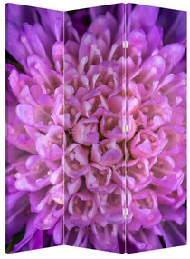 Paraván - Detail kvetu (126x170 cm)