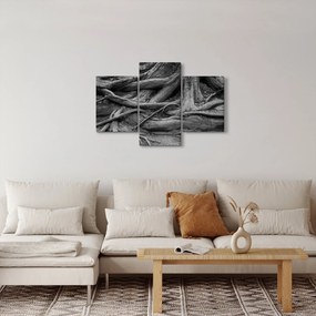 Obraz - Korene stromu (90x60 cm)