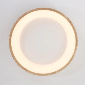 Brilagi - LED stropné svietidlo FALCON WOOD MODERN LED/40W/230V pr. 60 cm drevo