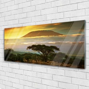 Obraz na akrylátovom skle Strom hory príroda 125x50 cm