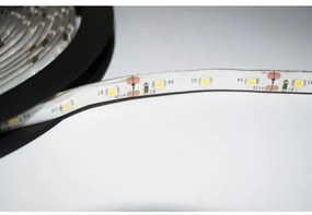ECOLIGHT LED pásik - SMD 2835 - 5m - 60LED/m - 4,8 W/m - zelený - IP65 - s konektorom