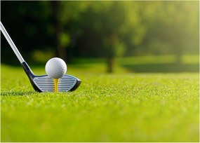 Sklenený obraz - Golf (70x50 cm)
