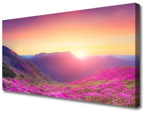 Obraz Canvas Slnko hory lúka príroda 120x60 cm