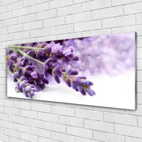 Obraz plexi Kvety príroda rastlina 125x50 cm