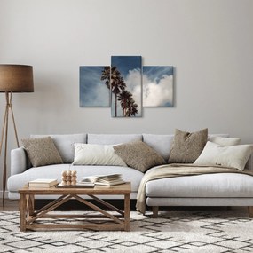Obraz - Palmová dráma (90x60 cm)