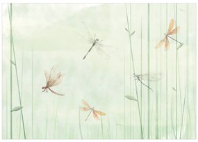 Artgeist Fototapeta - Dragonflies in the Meadow Veľkosť: 196x140, Verzia: Samolepiaca