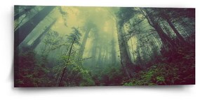 Sablio Obraz Temný les - 110x50 cm