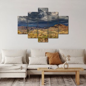 Obraz - kaktusy v prírode (150x105 cm)